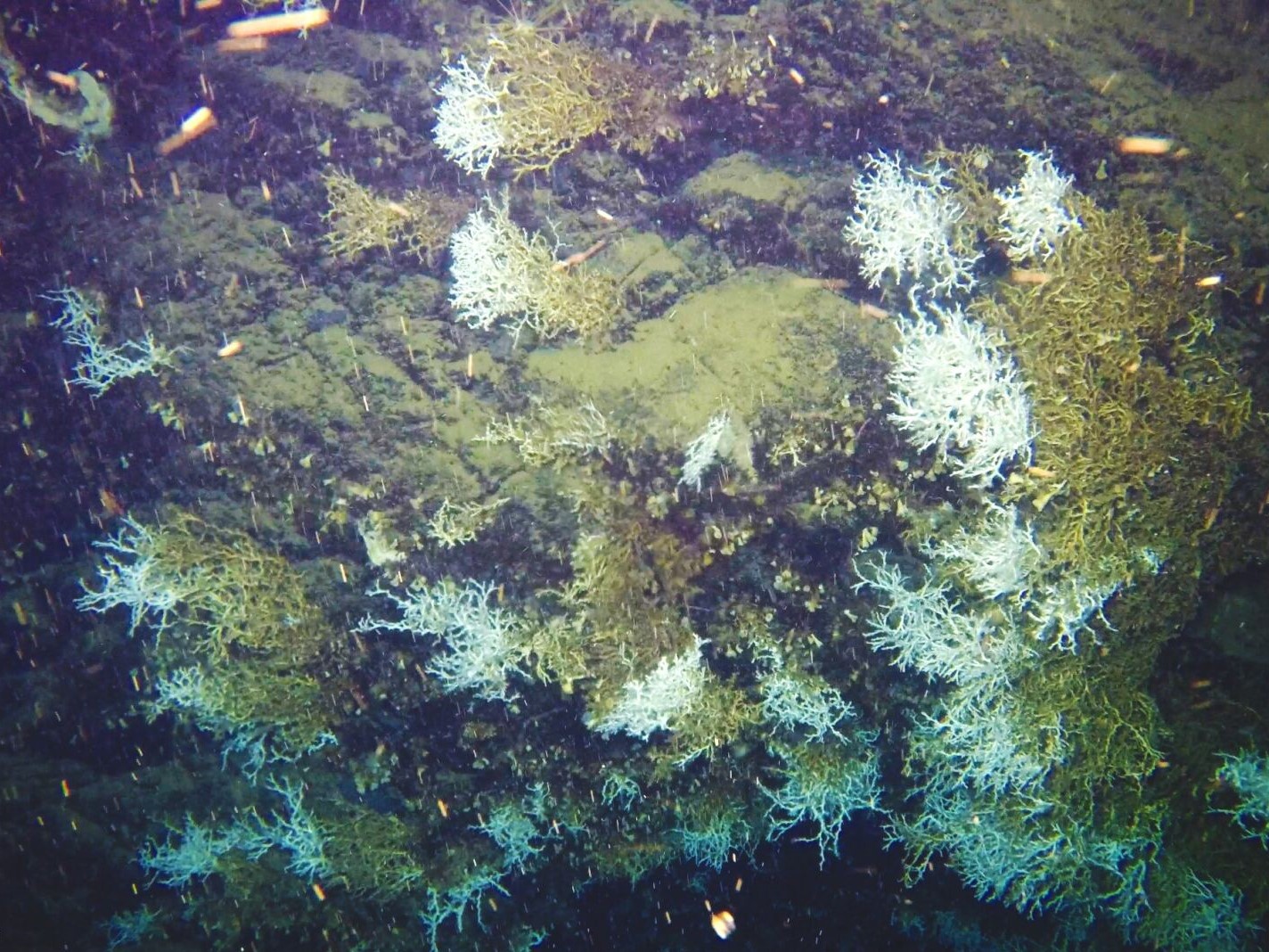 Business documentation